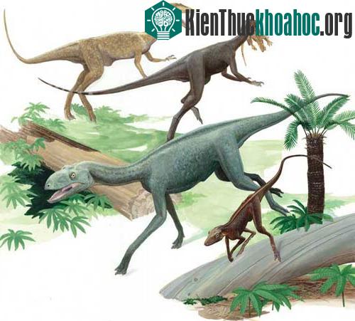 Hình ảnh minh họa khủng long (hai con phía trên) và tiền thân của chúng (hai con phía dưới) cùng tồn tại.