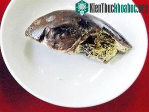Nhật: Tìm thấy vỏ dưa... 2.100 tuổi ảnh 0