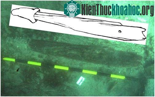 Phát hiện chiếc mỏ neo gỗ cổ nhất ảnh 0