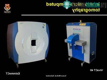 Nghiên cứu tổ tiên loài người bằng máy chụp cắt lớp ảnh 0
