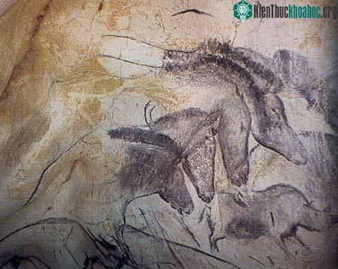 Bức bích họa trong hang động Chauvet