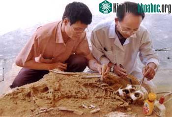 PGS-TS Nguyễn Lân Cường (trái) và giám đốc Quan Văn Dũng (phải) đang xử lý bộ xương người cổ ở Phia Vài.