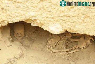Kim tự tháp không phải do nô lệ xây? ảnh 1