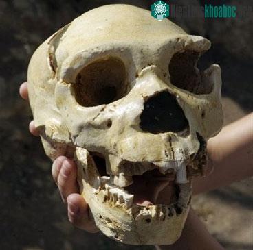 Nhóm người châu Âu đầu tiên ăn thịt người ảnh 1
