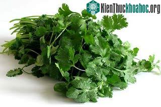 Thuốc nhuận tràng giúp “giữ ngôi vị” cho các Pharaon ảnh 1