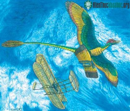 Khủng long cổ đại bay bằng 4 cánh ảnh 1