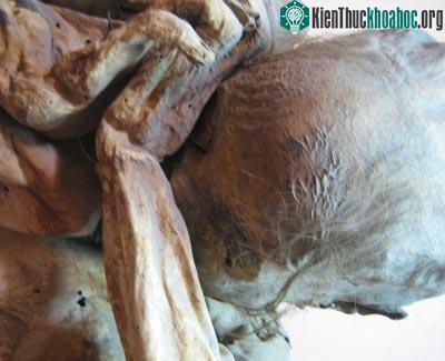 Tình cờ biến thành... xác ướp ảnh 12