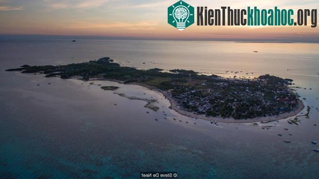 Đảo Malapascua thường xuyên tiếp đón một lượng lớn du khách thích tận mắt ngắm nhìn loài cá mập giữa đại dương.