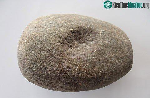 Văn hóa Hạ Long có thể đã lan ra nước ngoài ảnh 2
