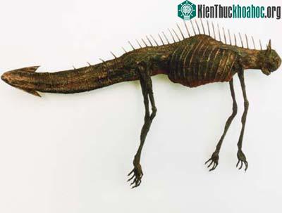 Bảo tàng những sinh vật kỳ thú ảnh 3