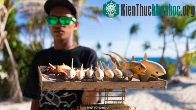 Dẫu cơ sở vật chất vẫn bị tàn phá nặng nề, song điều đó vẫn không ngăn cản được bước chân của những du khách thích khám phá đại dương.