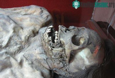 Tình cờ biến thành... xác ướp ảnh 3