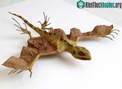 Bảo tàng những sinh vật kỳ thú ảnh 4