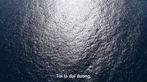 Đại dương là ngọn nguồn của mọi thứ.