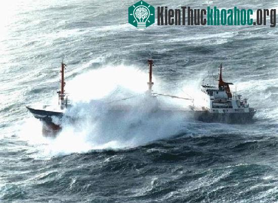 Phần lớn nguyên nhân dẫn đến tai nạn không phải là do va chạm mà là do tàu bị rò rỉ hoặc sóng đánh chìm.
