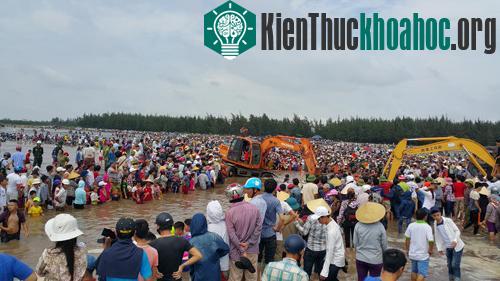 Đến 12h15, cá voi được giải cứu thành công trong tiếng vỗ tay vang dội của người dân đứng xem.