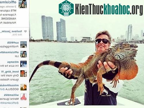 Một sinh vật kỳ lạ khác mà ông Quartiano bắt được trước đây. (Ảnh: Instagram)