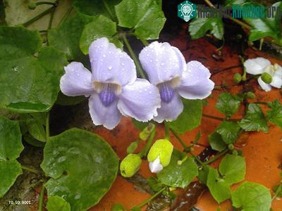 5 mối đe dọa cồn cát ven bờ ảnh 1