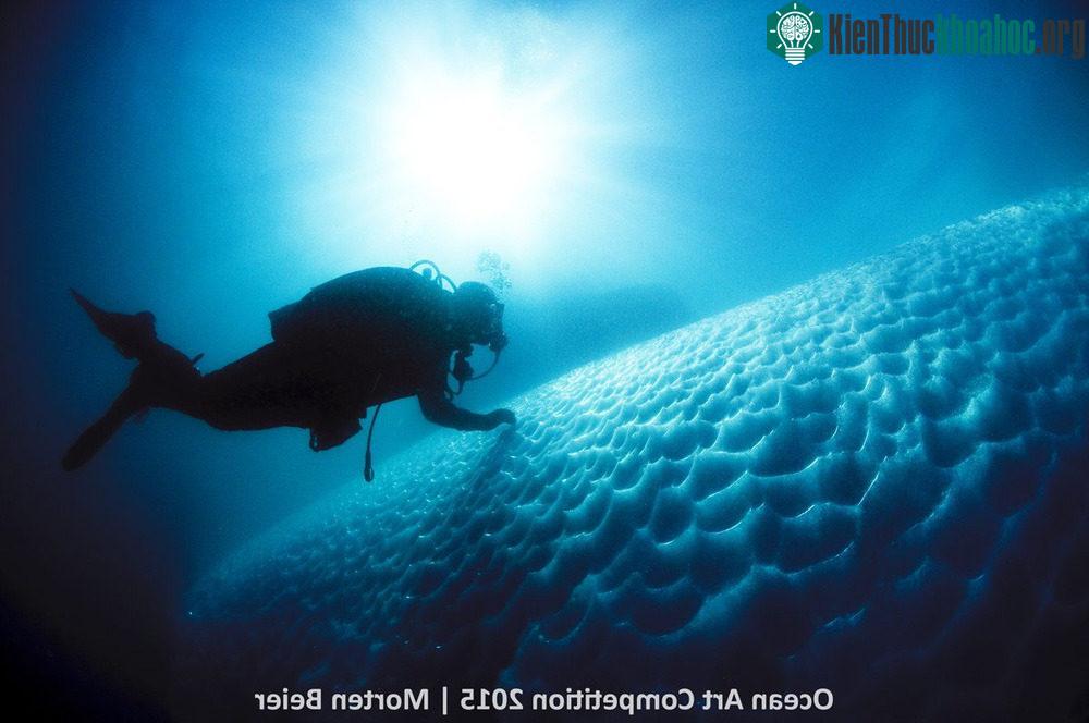 Nhân viên lặn đang kiểm tra những vết rãnh nổi lên từ một tảng băng chìm sâu dưới biển thuộc vùng Vịnh Disco, đảo Greenland