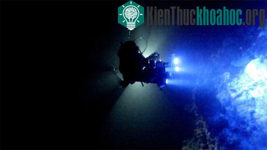 Các nhà khoa học sử dụng ánh sáng xanh để quan sát hiện tượng huỳnh quang sinh học ở các loài cá tại quần đảo Solomon - đảo quốc nằm ở phía đông Papua News Guidea - (Ảnh: AMNH/Livescience)