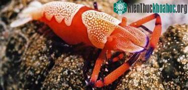 Những mối quan hệ hai bên cùng có lợi ảnh 5