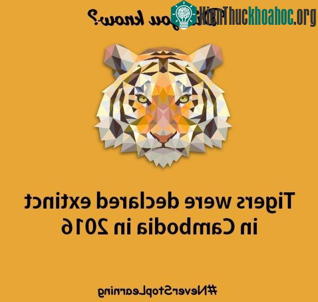 1. Hổ đã được tuyên bố tuyệt chủng tại Campuchia vào 06/04/2016.