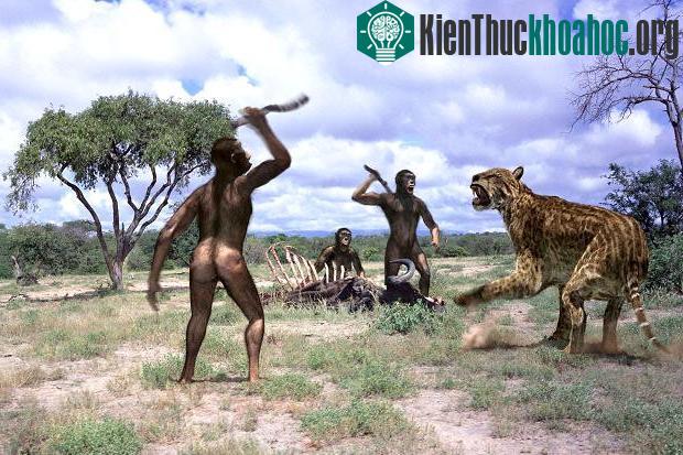Loài mèo này thuộc một chi của mèo răng kiếm.