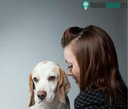Vì sao nhiều người chọn chó nuôi trông giống bản thân mình như vậy?