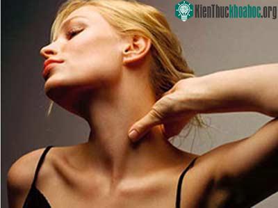 Khám phá thú vị về cái cổ loài vật
