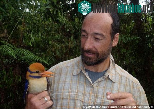 Christopher Filardi và con chim bói cá sau 50 năm tìm kiếm. (Ảnh: Twitter).