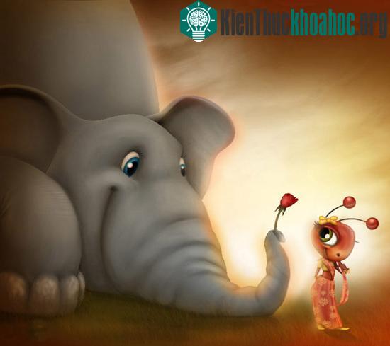 (Ảnh minh họa: Blogspot)