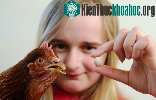 Shannon Hayes và quả trứng tí hon. (Ảnh: Wales News Service)