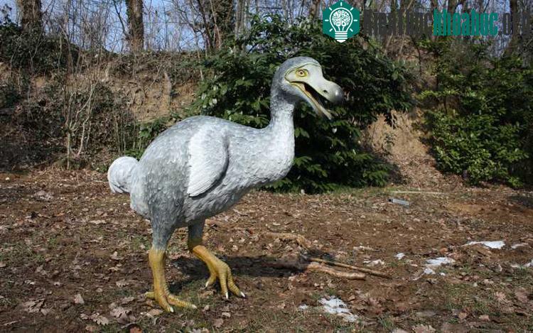 Hình ảnh tái hiện chim dodo. (Ảnh: Nature).
