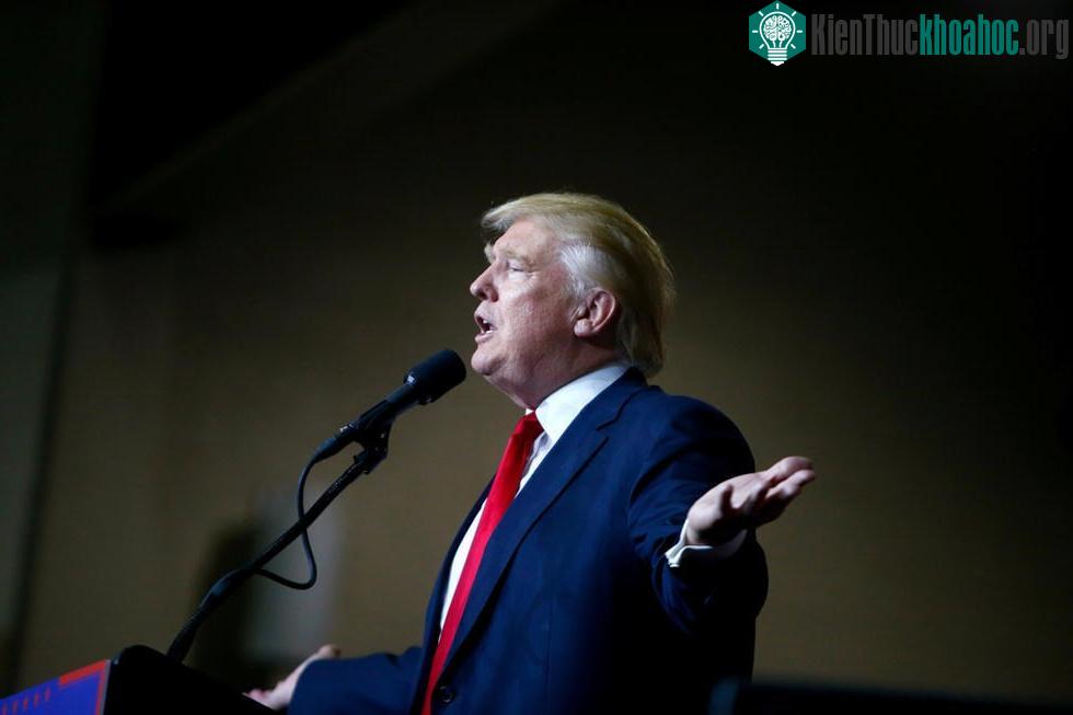 Cùng ngắm lại kiểu tóc của ông Donald Trump.