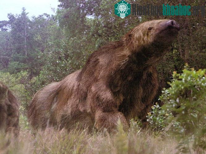 Megatherium được cho là một trong những loài thú to lớn nhất sống trên mặt đất.
