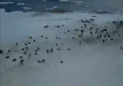 "Ị" tới đâu băng tan tới đó!