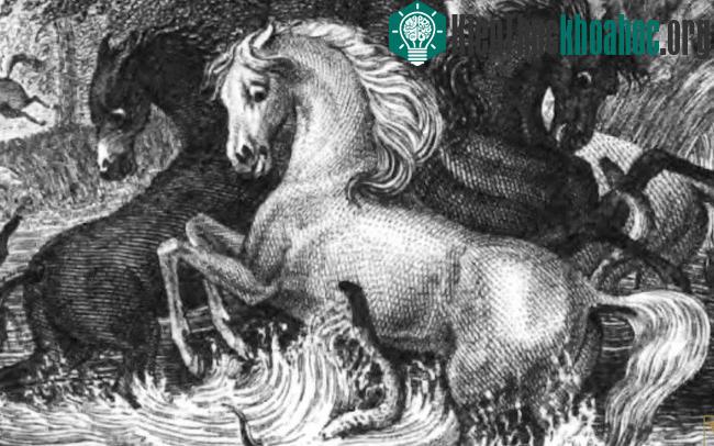 Bức vẽ do một người quen của Humboldt vẽ vào năm 1843 để mô tả hiện tượng này.