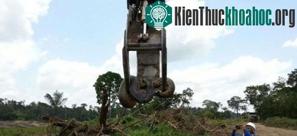 Đây là một trong những loài sinh vật đáng sợ trên Trái đất.
