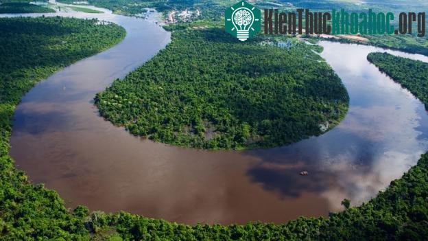 Amazon là nơi cư trú của rất nhiều sinh vật thú vị. (Ảnh: John Warburton-Lee Photography/Alamy Stock Photo).