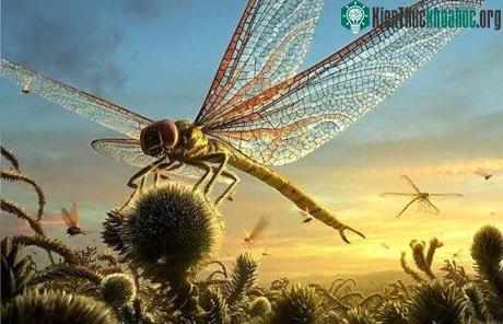 Thú vị thế giới côn trùng