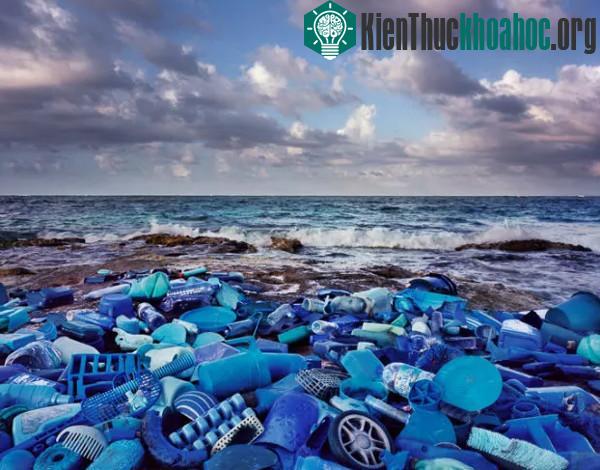 Chúng ta càng sản xuất nhiều nhựa, đại dương càng ô nhiễm.