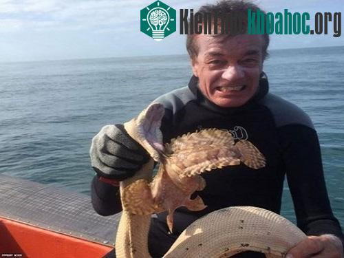 Trippe chụp ảnh với cặp xà-ngư sau trận tử chiến. (Ảnh: BBC)
