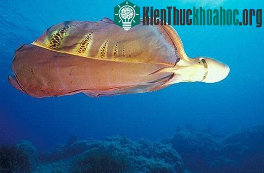 Những điều đáng sợ bạn chưa biết về thế giới tự nhiên