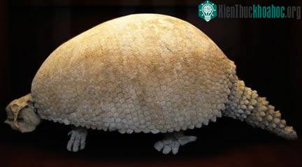 13 loài động vật viễn cổ thần kỳ- ảnh 11