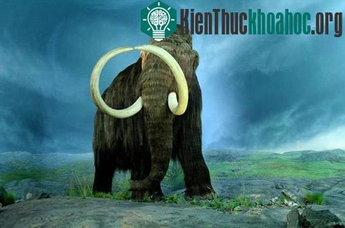 13 loài động vật viễn cổ thần kỳ- ảnh 13