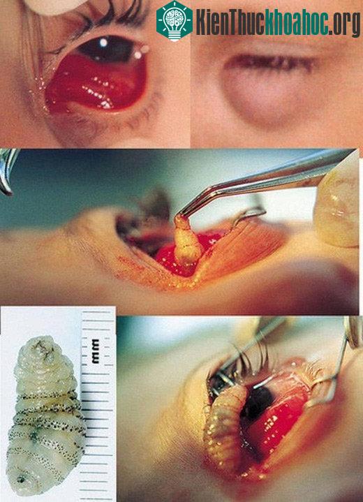 Những điều đáng sợ bạn chưa biết về thế giới tự nhiên
