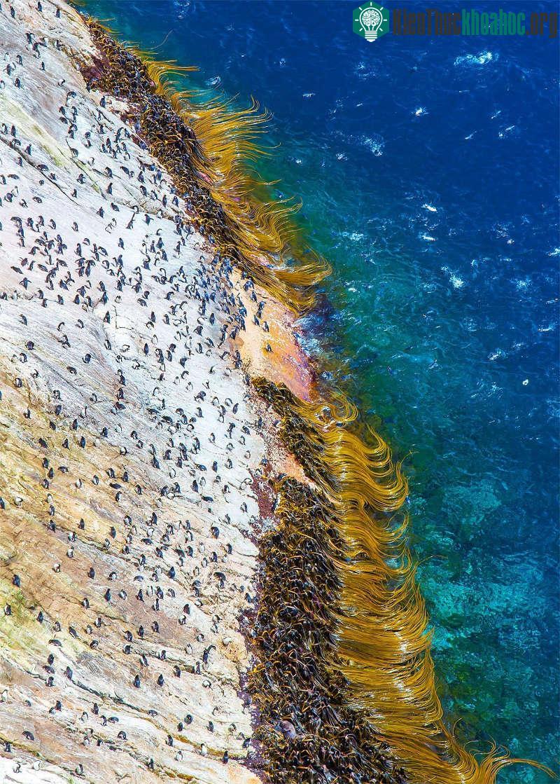 (Ảnh: Mark MacEwen/BBC)