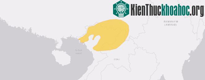 Khu vực phân bố của rắn Dinodon meridionale (màu vàng). (Hình: Iucnredlist.org).