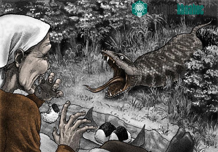 Tsuchinoko trong các câu chuyện của Nhật. (Ảnh minh họa).