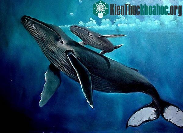 Những đứa con khổng lồ của tự nhiên